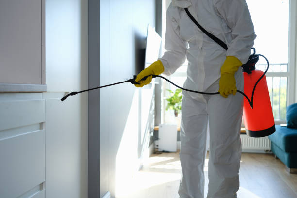 Best Localized Mold Remediation (e.g., coastal areas, humid climates) in Deerfield, IL
