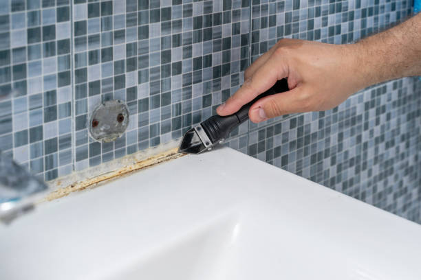 Best Mold Remediation for Schools in Deerfield, IL