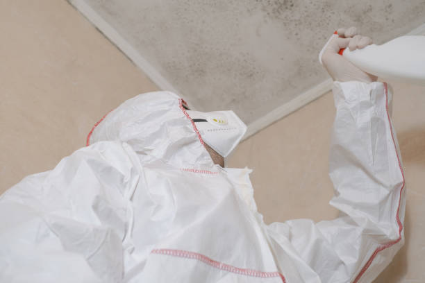 Best Bathroom Mold Remediation in Deerfield, IL